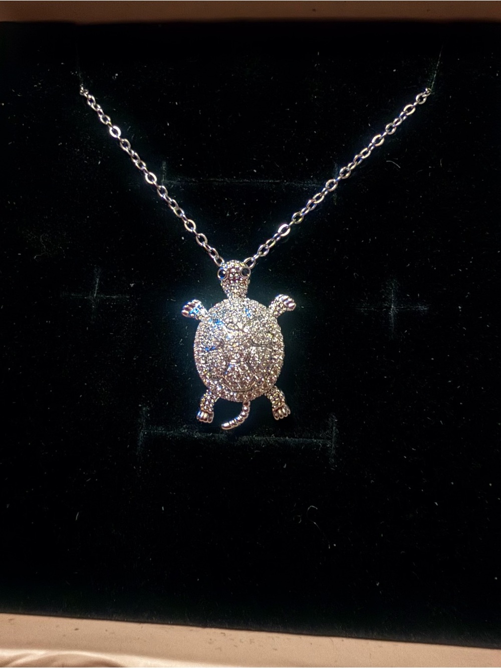 Stainless Steel Turtle and Cz necklace